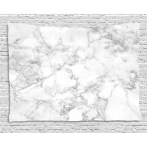 Marble Tapestry, Nature Granite Pattern with Cloudy Spotted Trace Effects Marble Artistic Image, Wall Hanging for Bedroom Living Room Dorm Decor, 60W X 40L Inches, Pale Grey Dust, by Ambesonne   